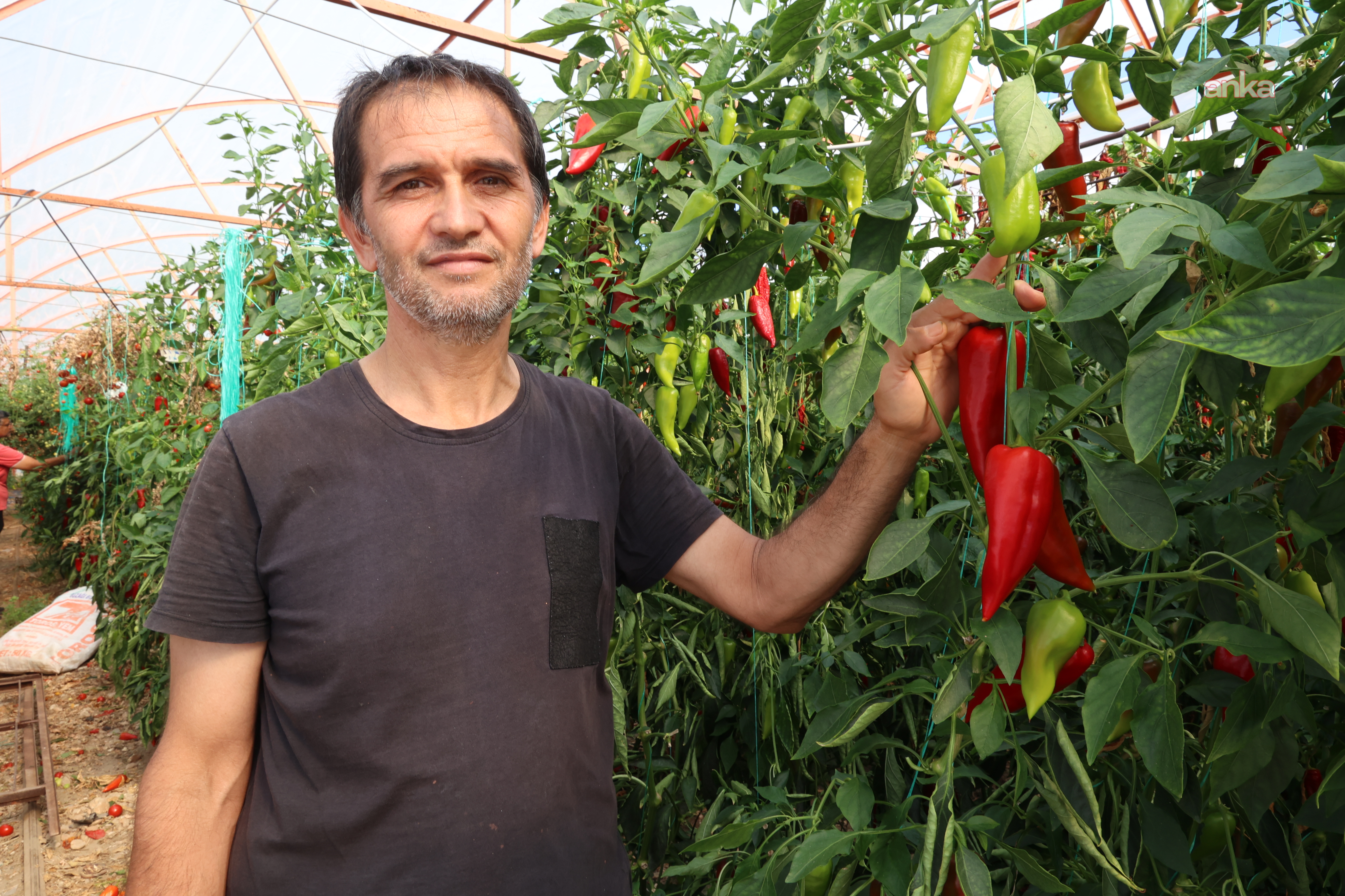 Sulama Desteği