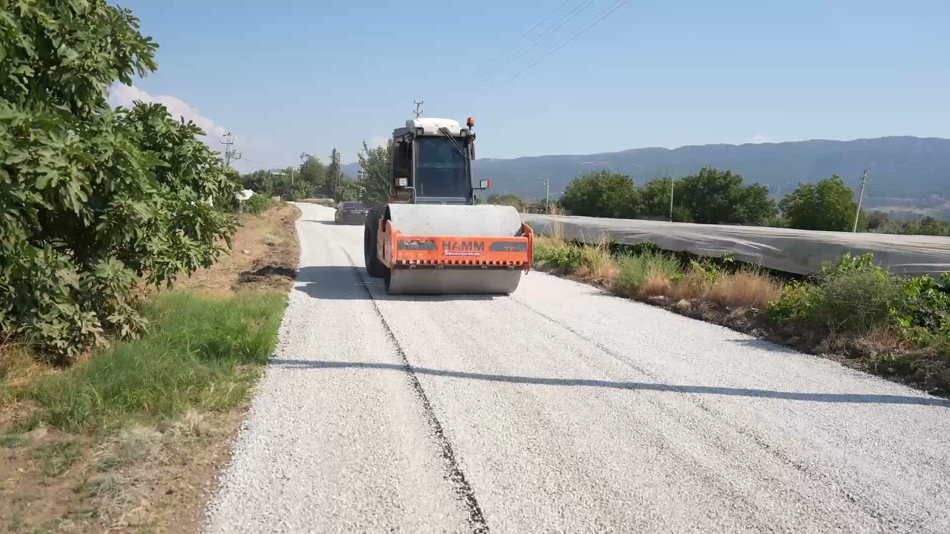 Sarıgöl Üzümleri